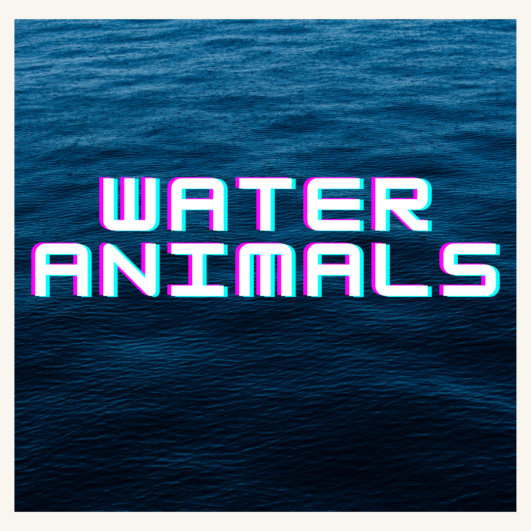 Water Animals