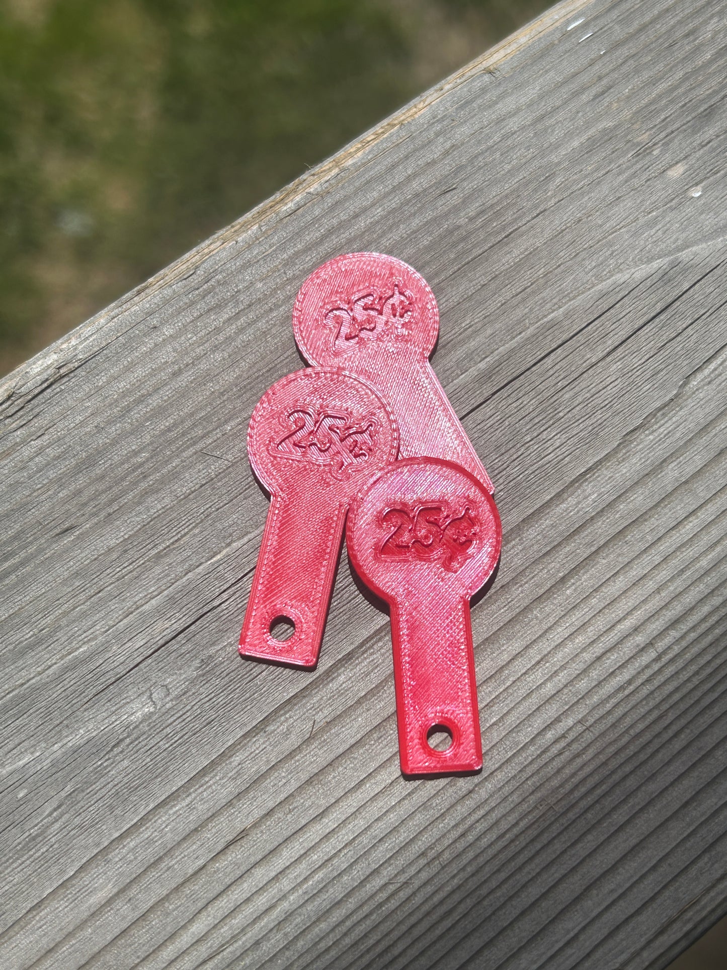 Shopping cart coin keychain