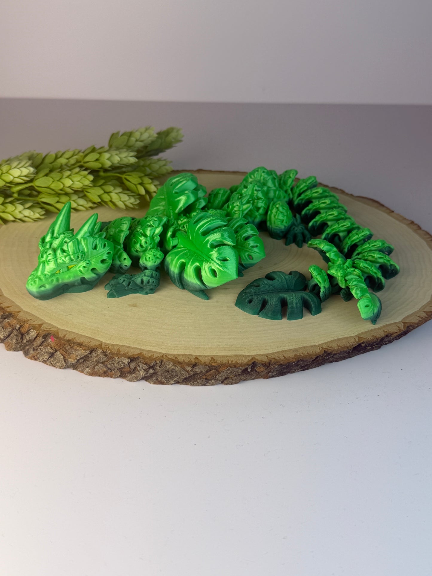 CW Monstera dragon-long
