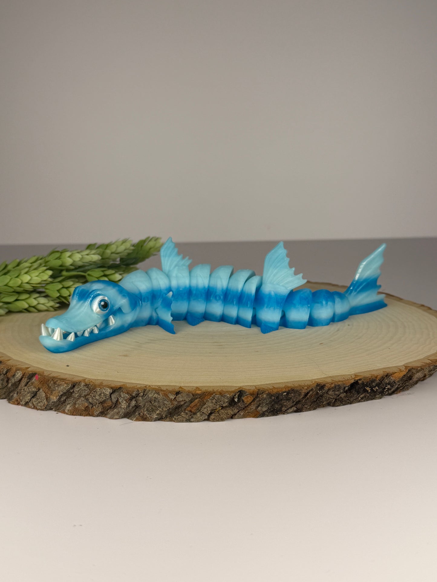 Barracuda