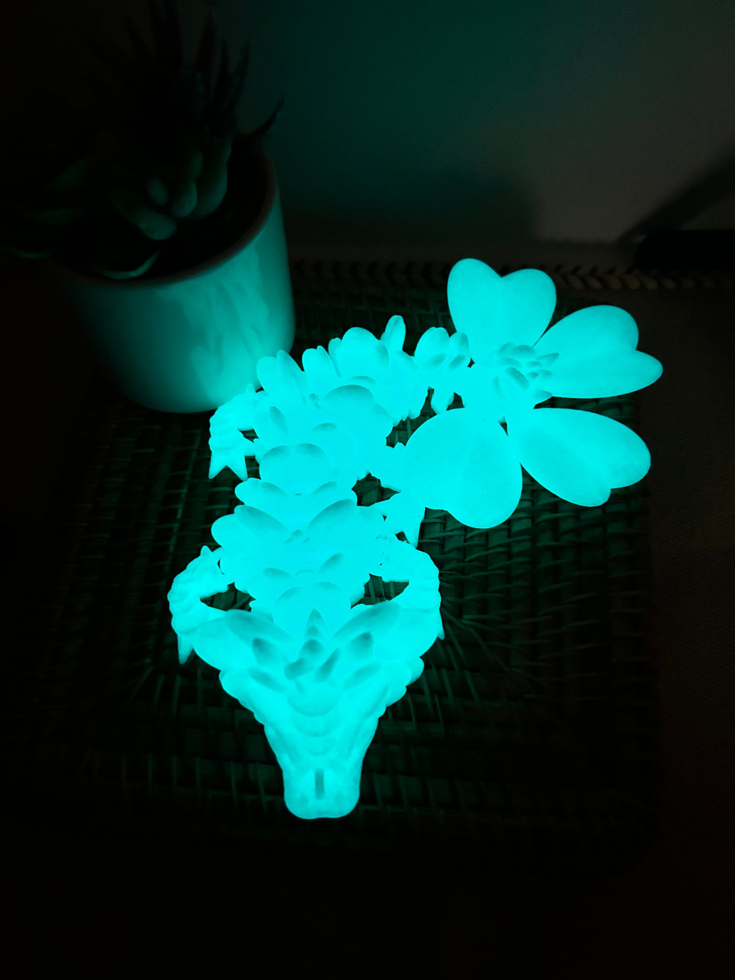 Clover dragon-glow in the dark