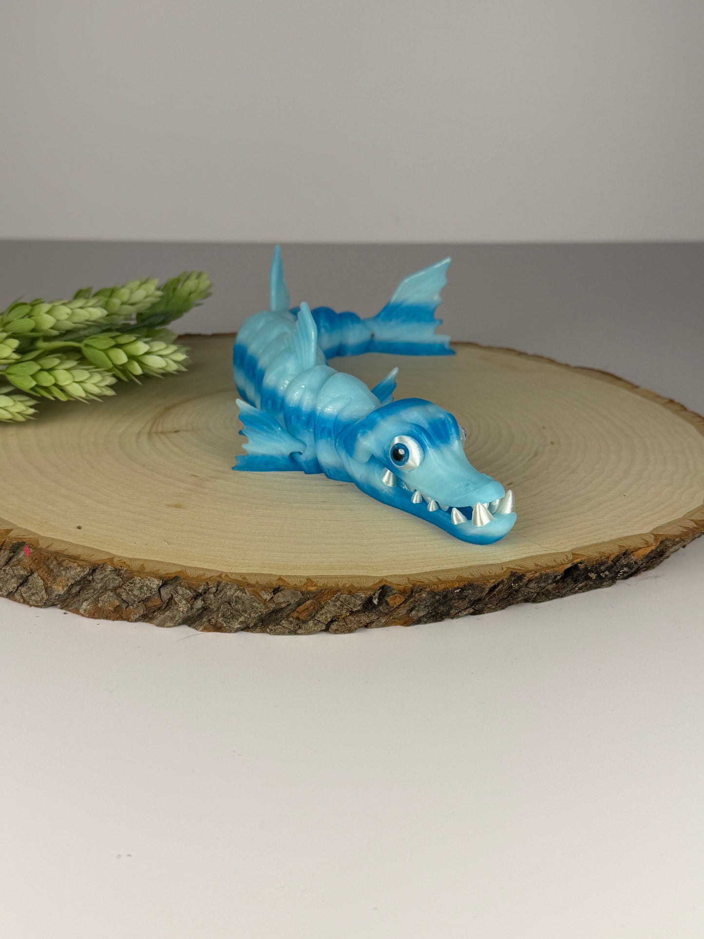 Barracuda