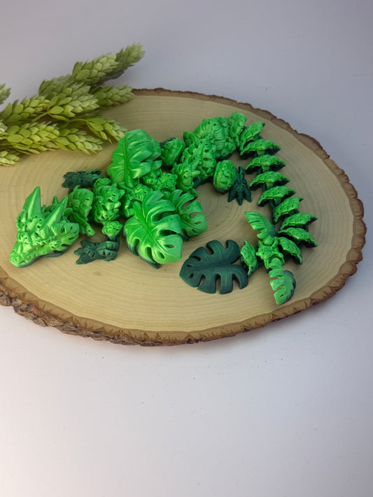 CW Monstera dragon-long