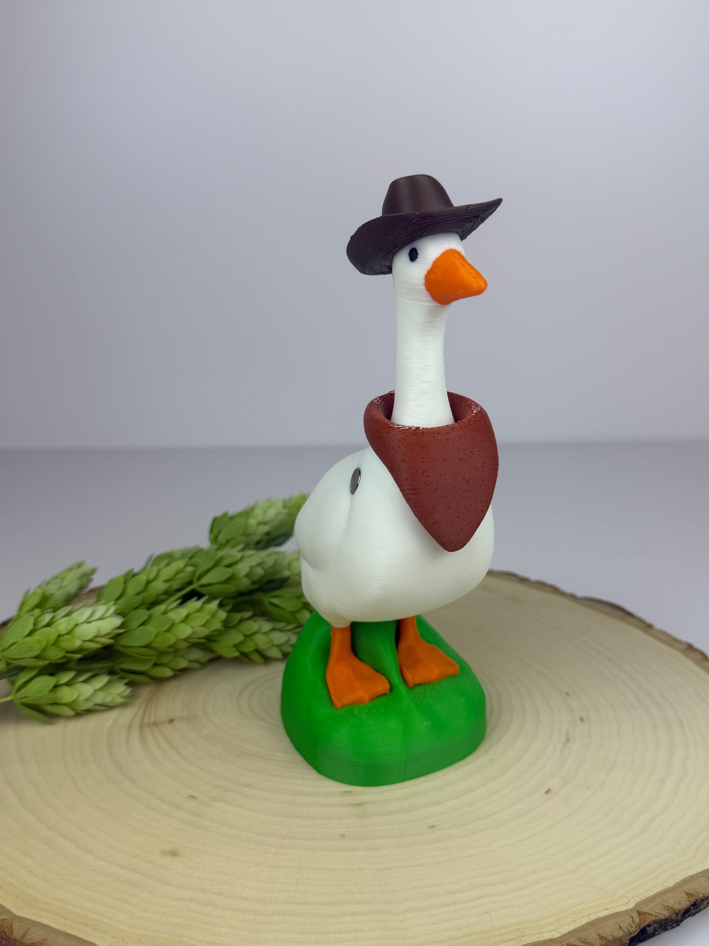 Gabby Goose