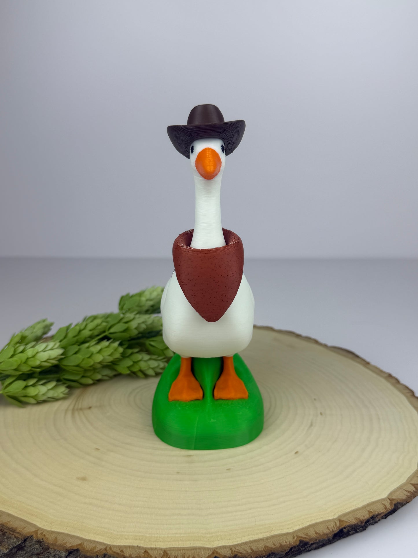 Gabby Goose