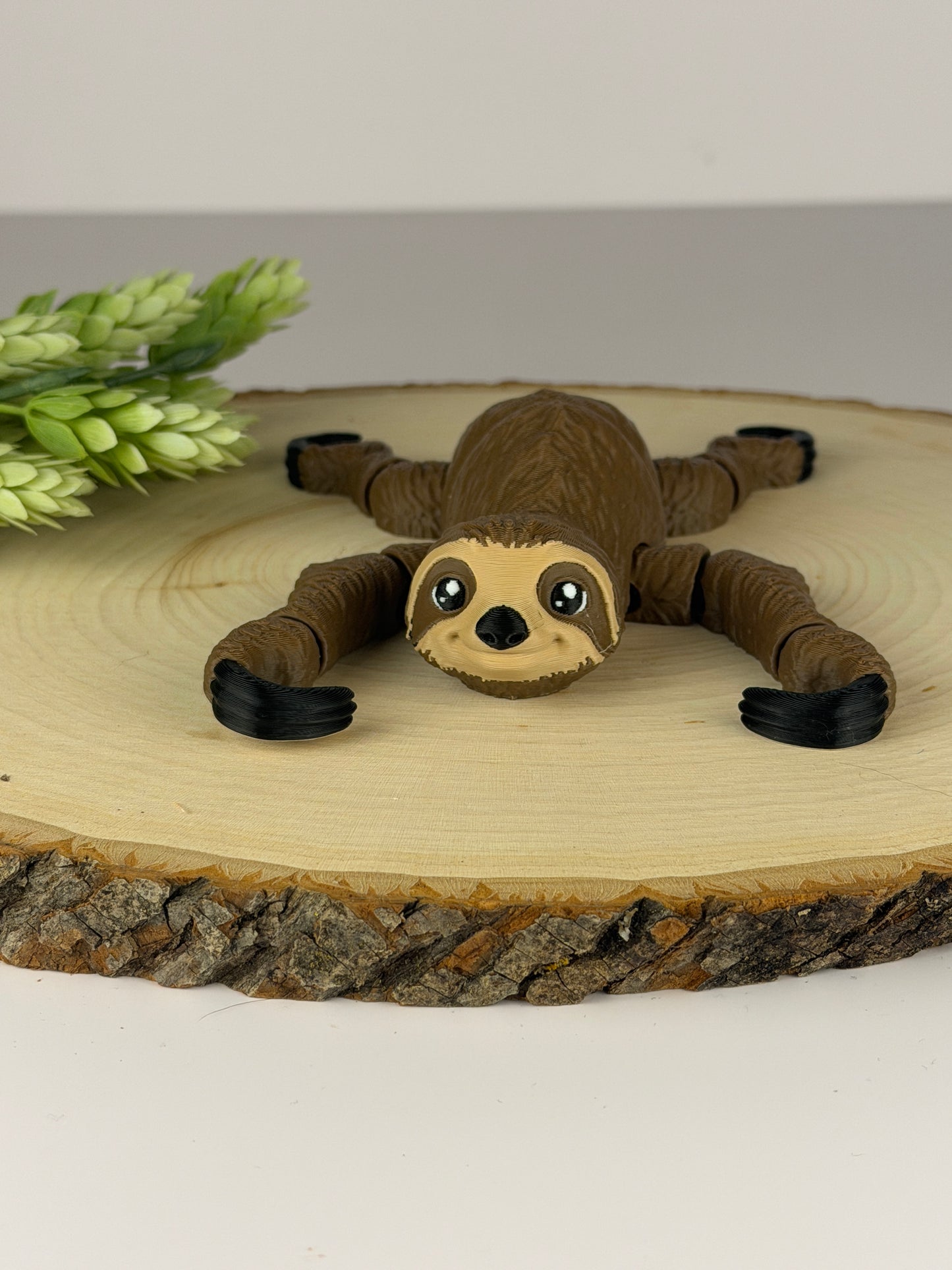 Sloth