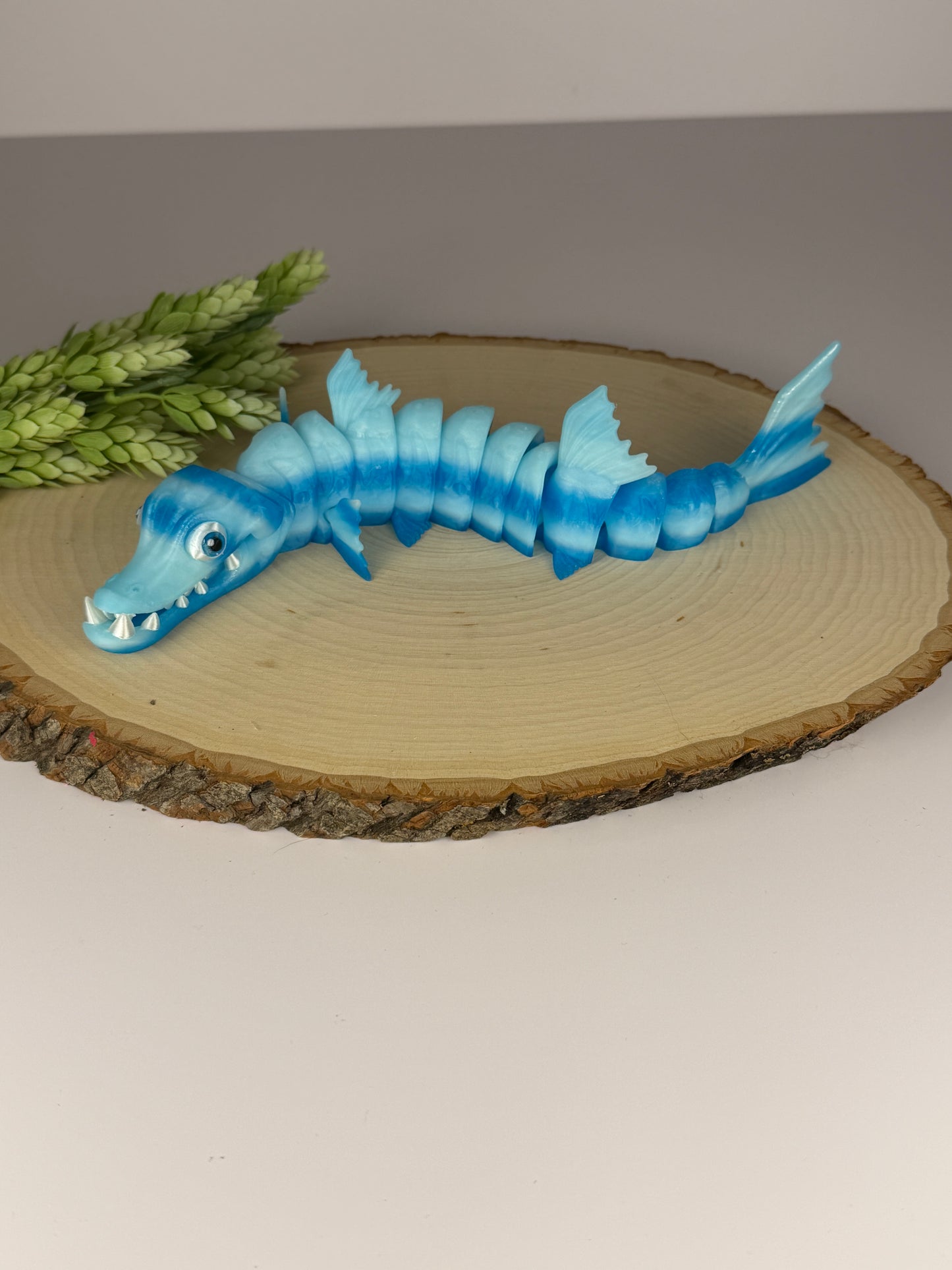 Barracuda