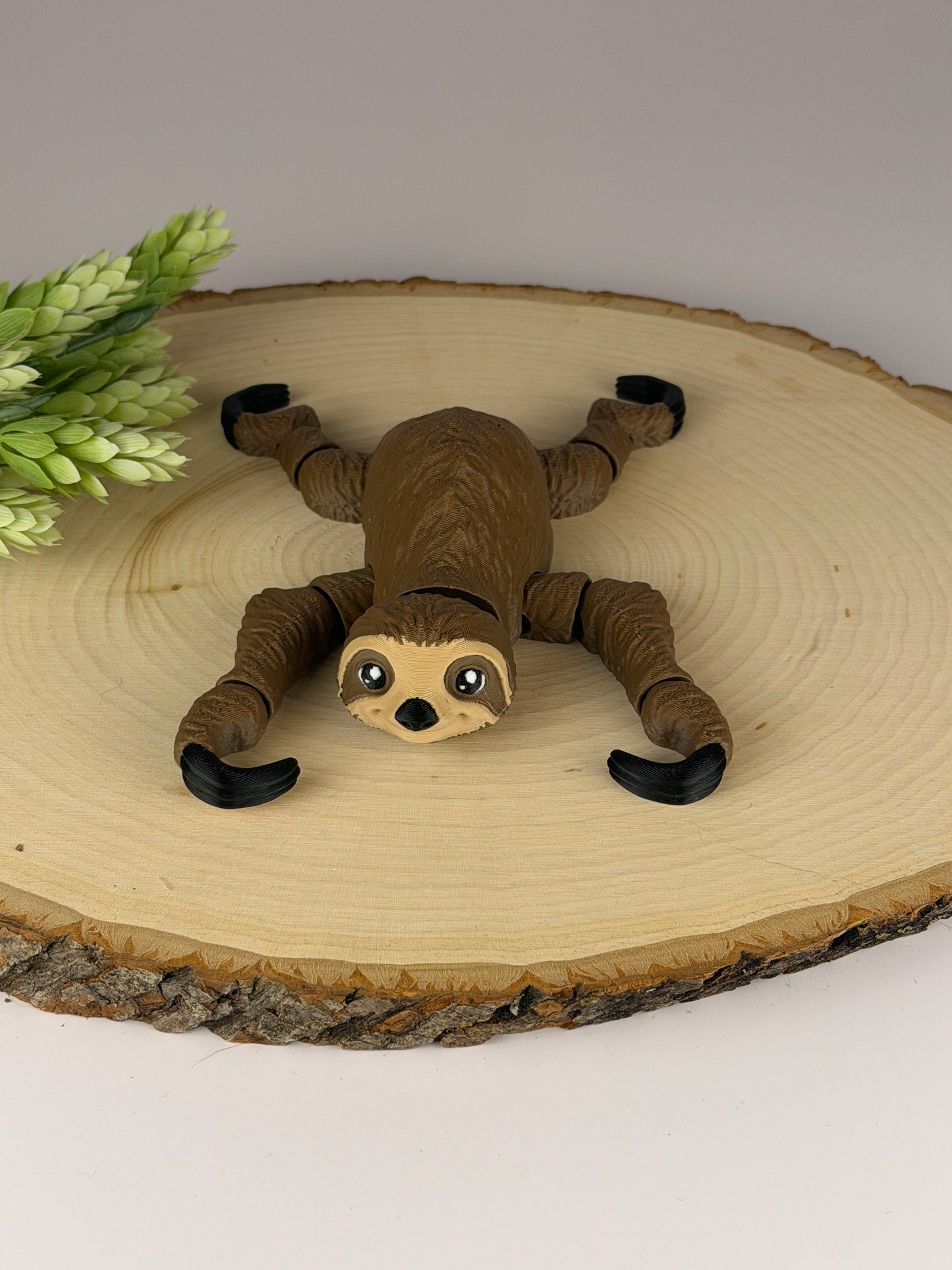 Sloth