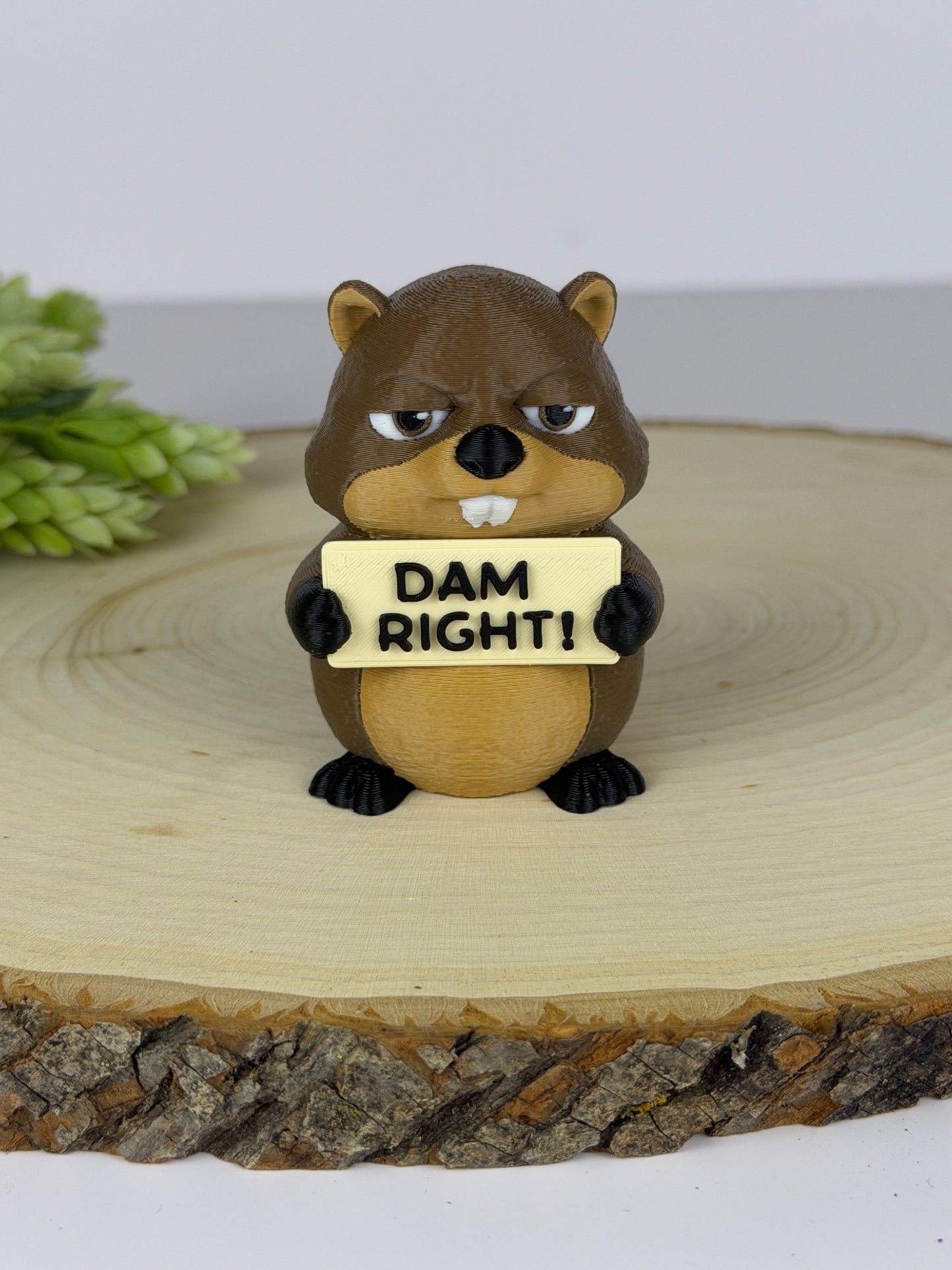 Animals with Attitude