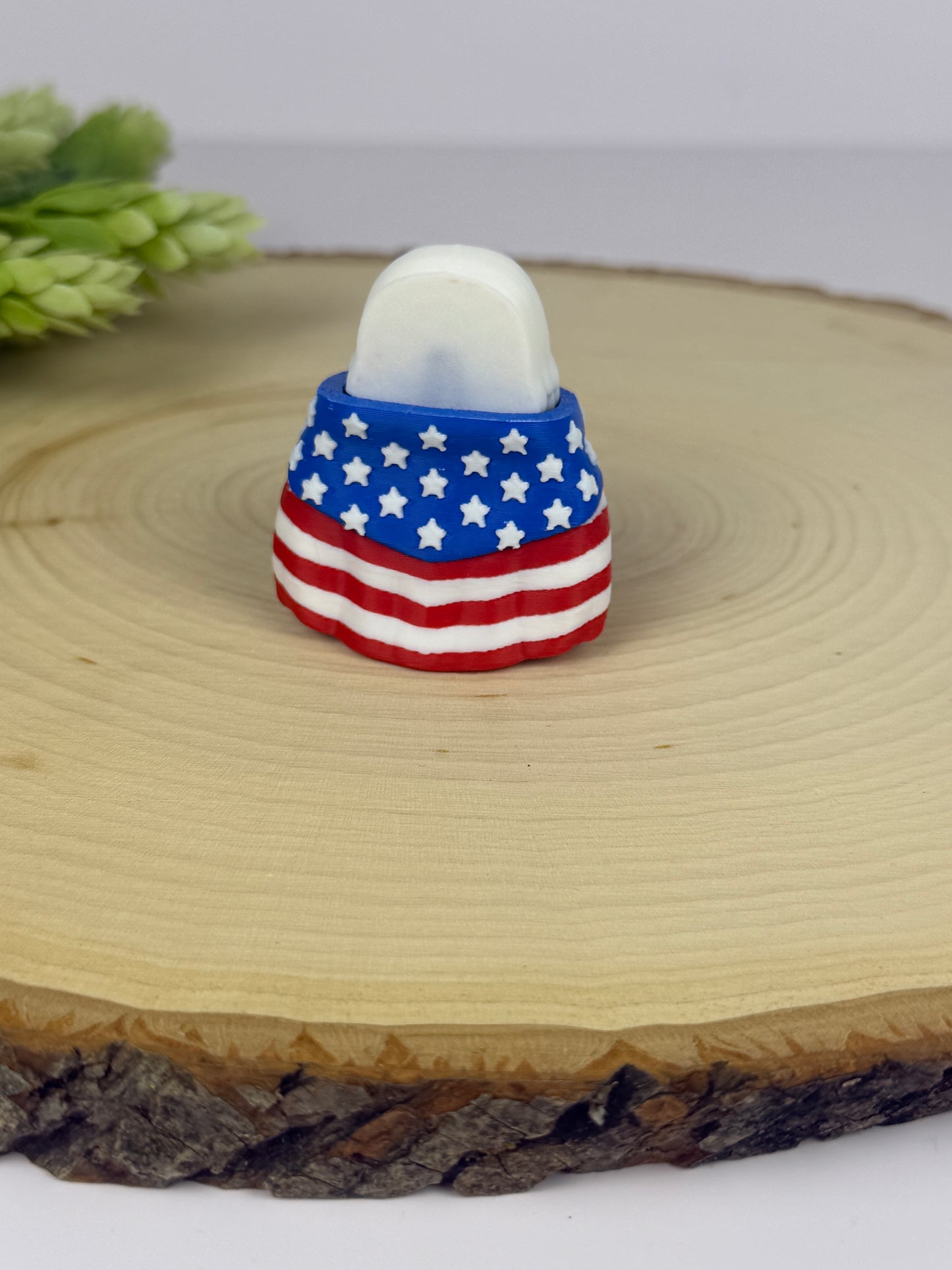 USA cape eagle-Mini
