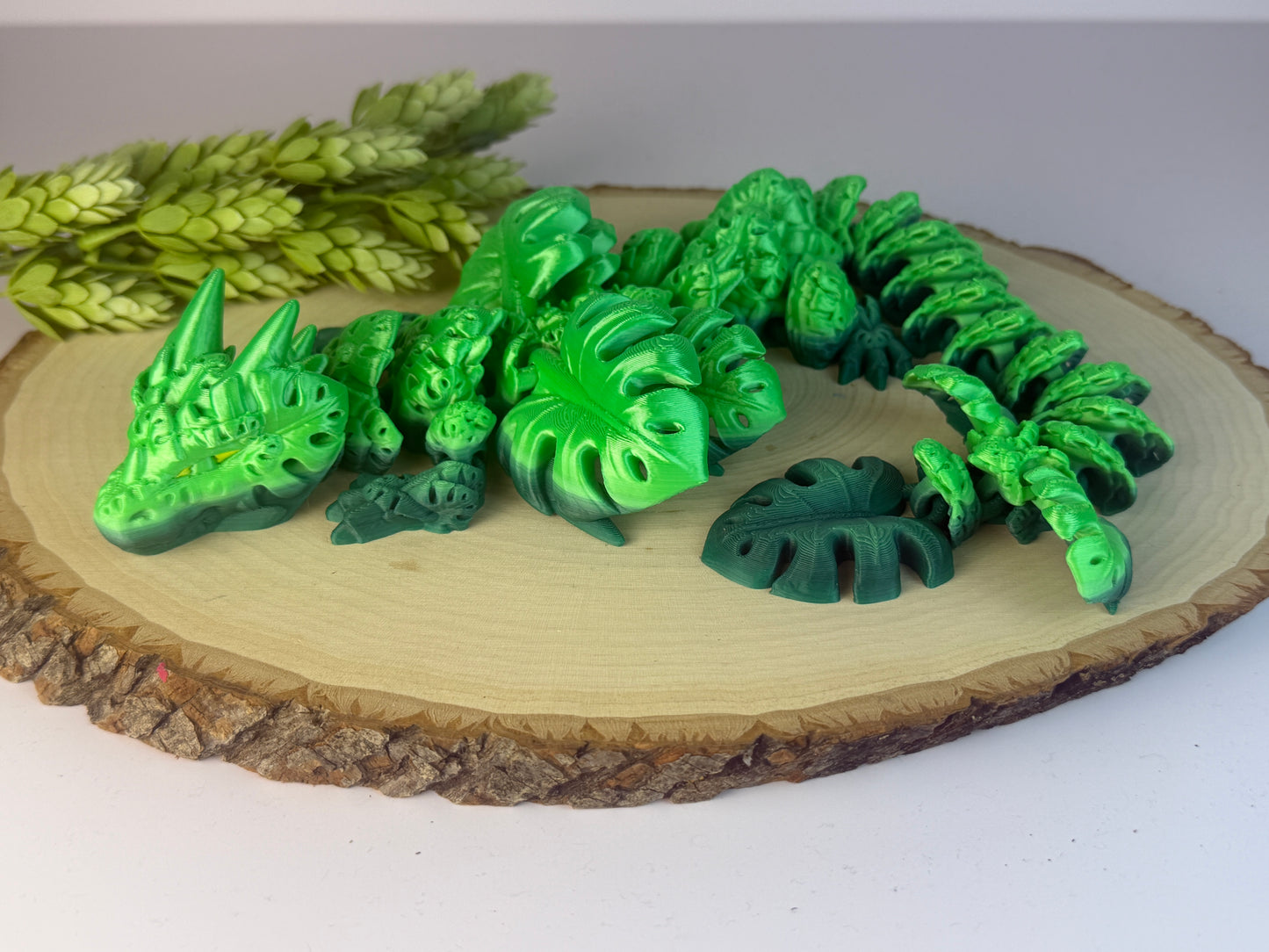 CW Monstera dragon-long