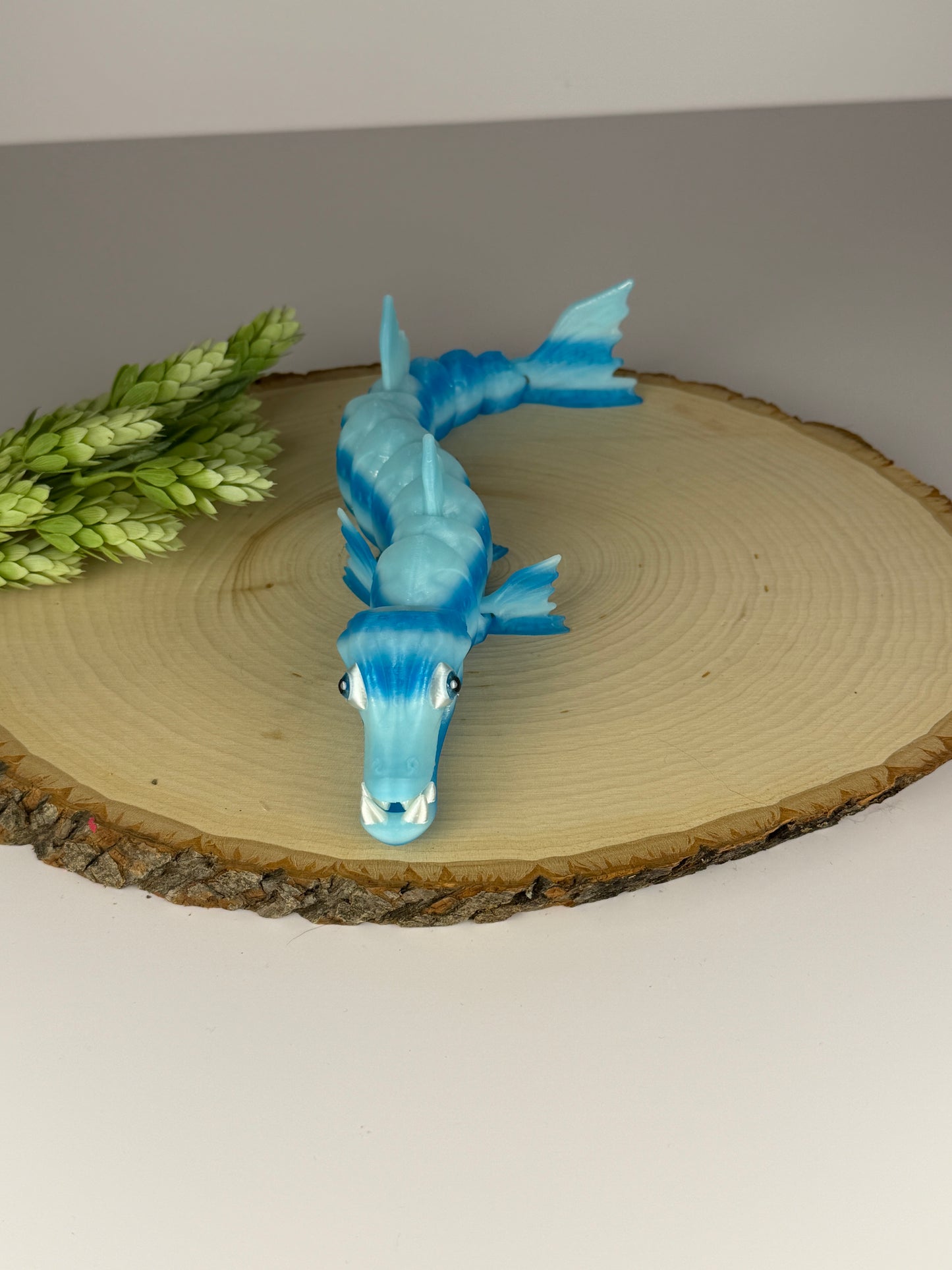 Barracuda