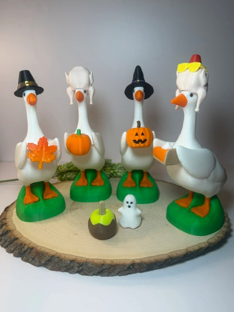 Gabby Goose Fall Accessories