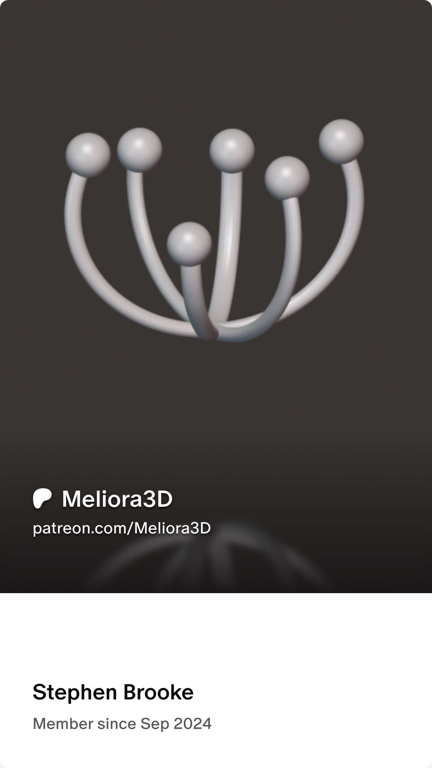 Meliora3D